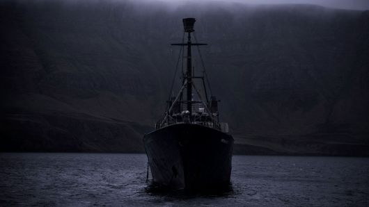 reykjavik_whale_massacre_13