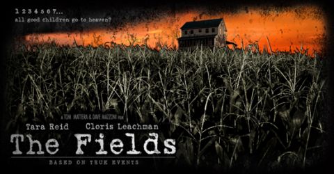 fieldss
