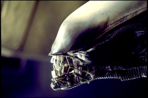 Alien1