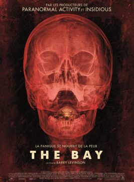 The Bay