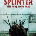 Splinter