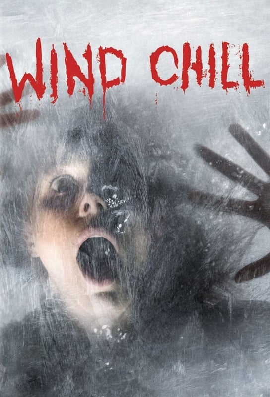 Affiche du film "Wind Chill"