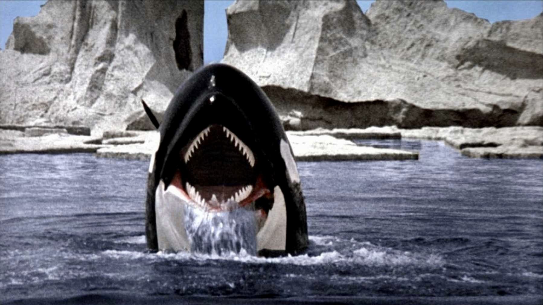 Image du film "Orca"